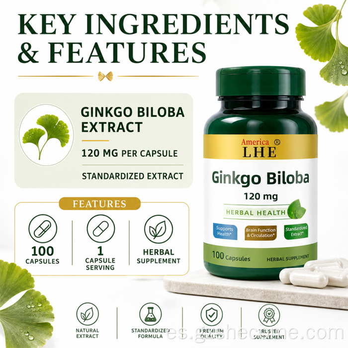 Shecome Ginkgo Biloba Cápsulas Apoyo a la función cerebral